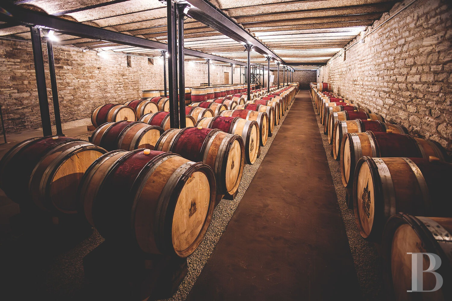 En Bourgogne, à Beaune, un château de la Belle Époque au milieu de ses huit hectares de vignes - photo  n°39